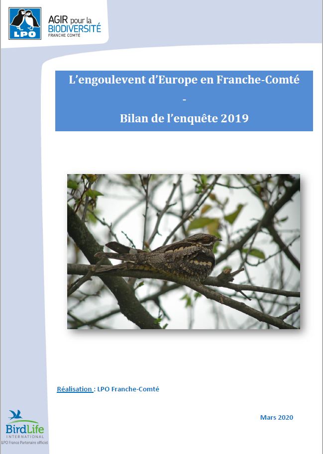 https://cdnfiles2.biolovision.net/franche-comte.lpo.fr/userfiles/observer/EngouleventdEurope/Photorapport.JPG