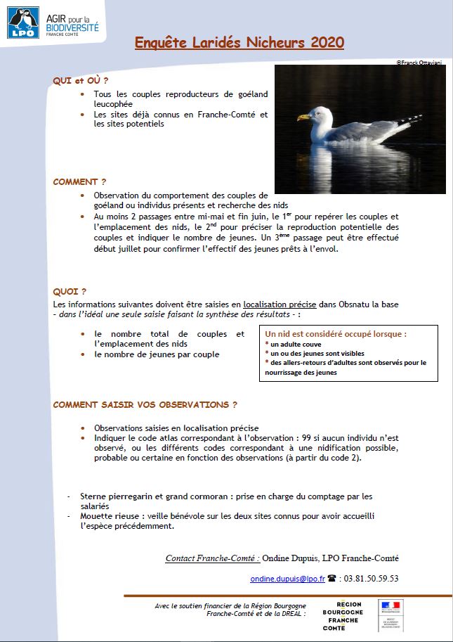 https://cdnfiles2.biolovision.net/franche-comte.lpo.fr/userfiles/observer/Laridesnicheurs/Photonotemthodo.JPG