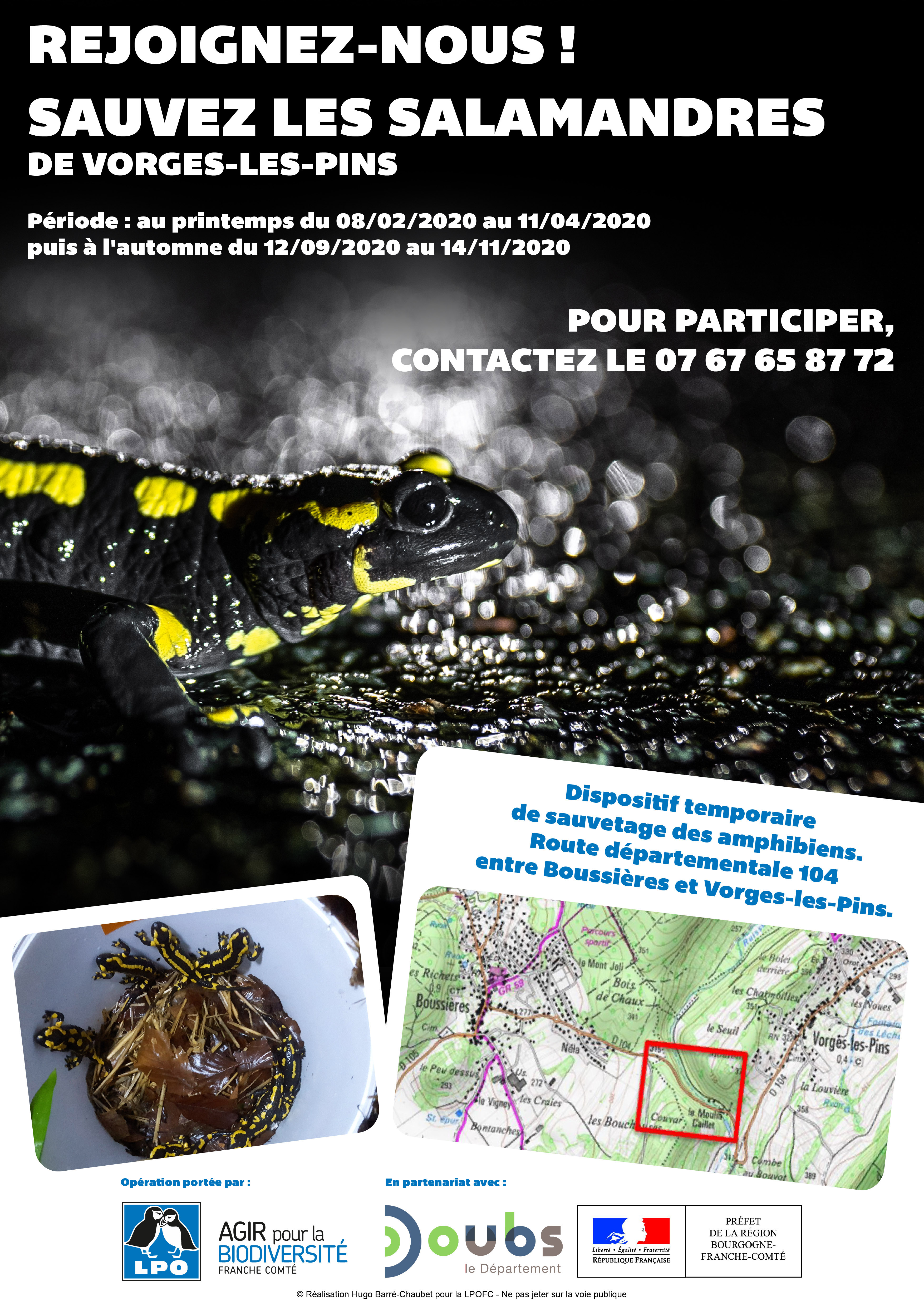 https://cdnfiles2.biolovision.net/franche-comte.lpo.fr/userfiles/proteger/AmphibiensRoutes/FlyerVorges.jpg