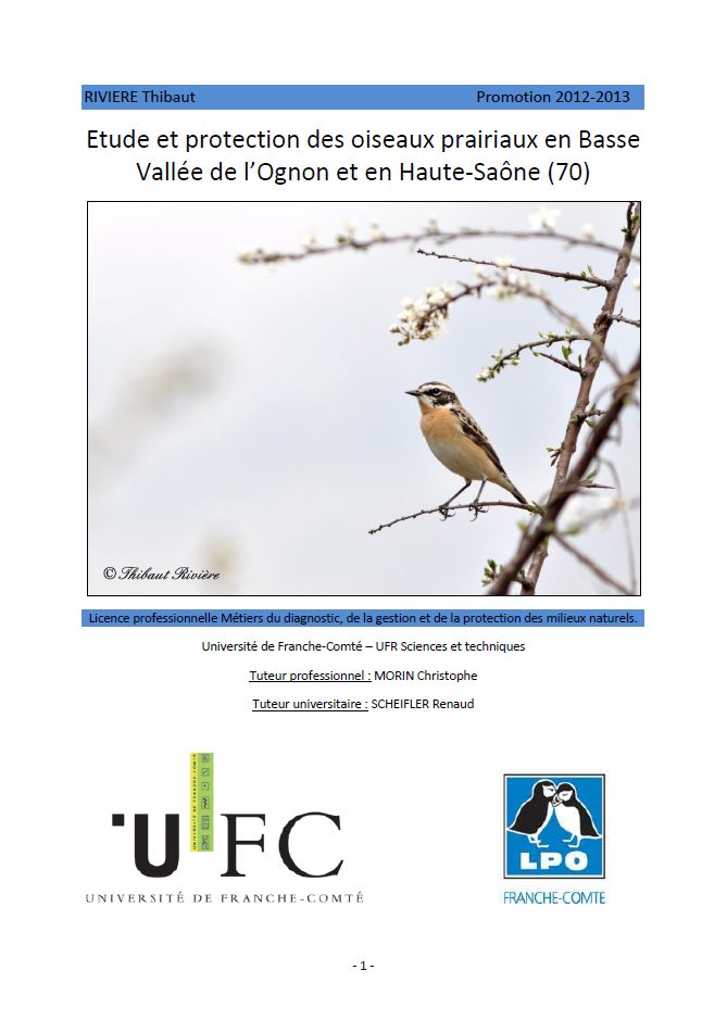 https://cdnfiles2.biolovision.net/franche-comte.lpo.fr/userfiles/publications/rapportsstages/2013StageOiseauxprairiauxTRivirecouv.jpg