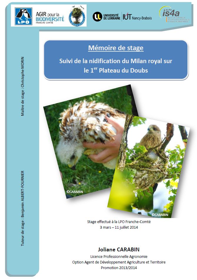 https://cdnfiles2.biolovision.net/franche-comte.lpo.fr/userfiles/publications/rapportsstages/2014StageMilanroyalJCarabincouv.jpg
