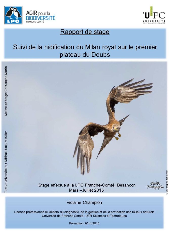 https://cdnfiles2.biolovision.net/franche-comte.lpo.fr/userfiles/publications/rapportsstages/2015RapportPNAMilanViolaineChampioncouv.jpg