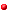 espèce rare ou peu l' répandue (signaler toutes les observations, catégorie A) espèce rare ou peu l' répandue (signaler toutes les observations, catégorie A)