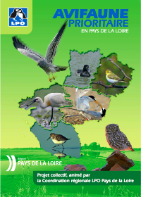 Avifaune prioritaire en Pays de la Loire