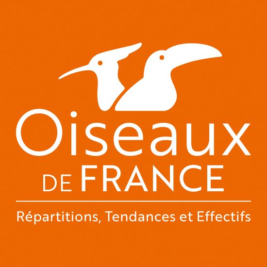 Grenouille rieuse - LPO (Ligue pour la Protection des Oiseaux) - Agir pour  la biodiversité