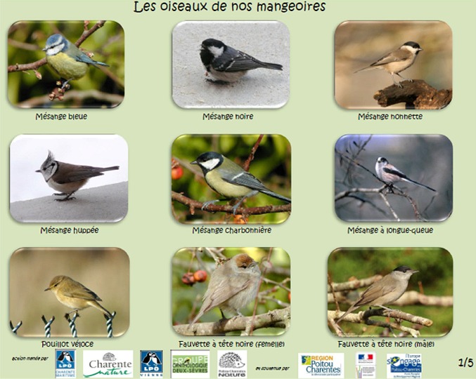https://cdnfiles2.biolovision.net/www.faune-charente-maritime.org/userfiles/Oiso/Oiseauxdesjardins.jpg