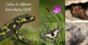 www.faune-deux-sevres.org