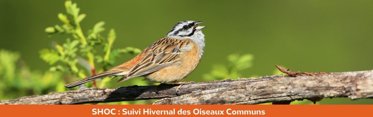 À chaque enquête sa fiche