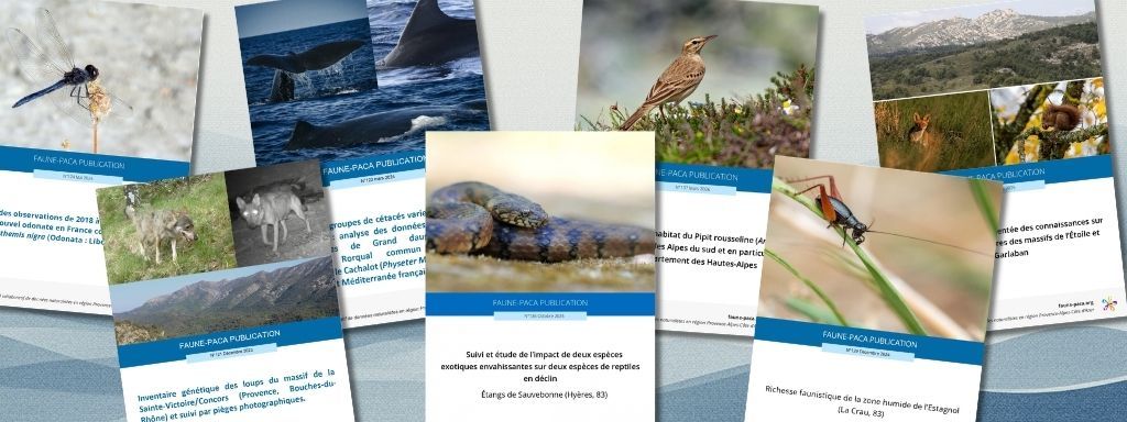 Toutes les publications Faune-PACA