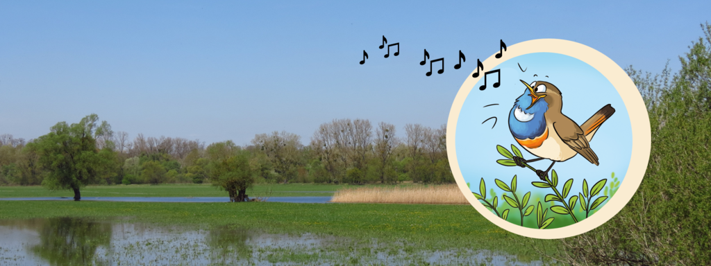 L'icône chant - on refait nos gammes ?