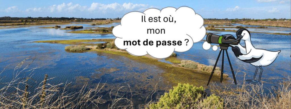 Pas reçu de mot de passe ?