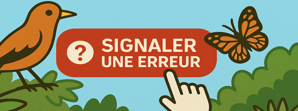 Vous observez une erreur de saisie ? Vous pouvez désormais le signaler !