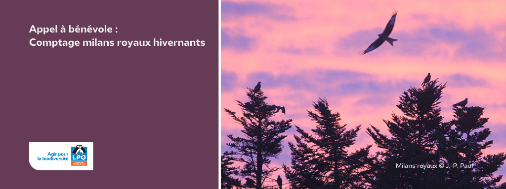 10 et 11 janvier 2026