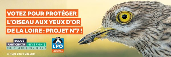 Jusqu'au 15 novembre !