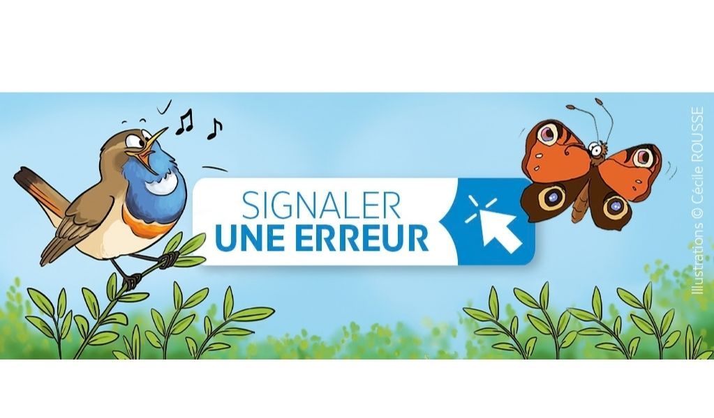 Vous observez une erreur de saisie ? Vous pouvez désormais le signaler !