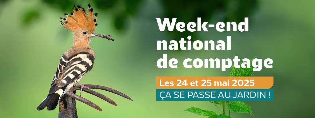Réservez 1h de votre week-end !
