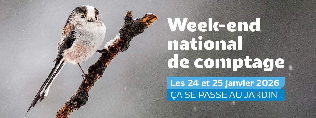 Réservez 1h de votre week-end !