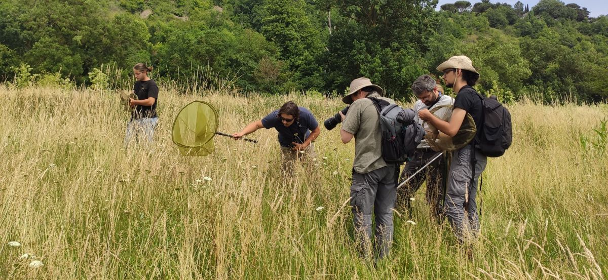 Les rencontes naturalistes arrivent !