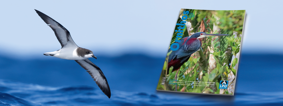 Bientôt dans vos boites aux lettres