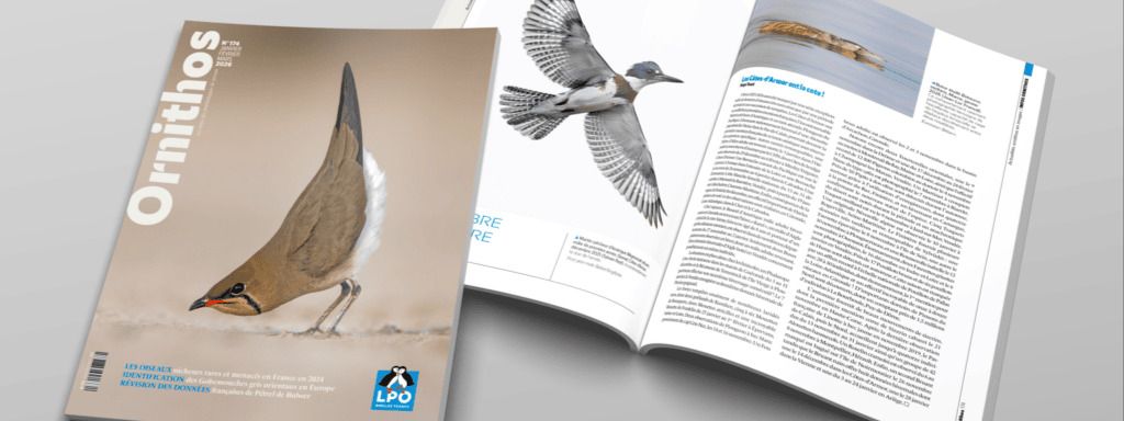 L'Ornithos du printemps arrive !