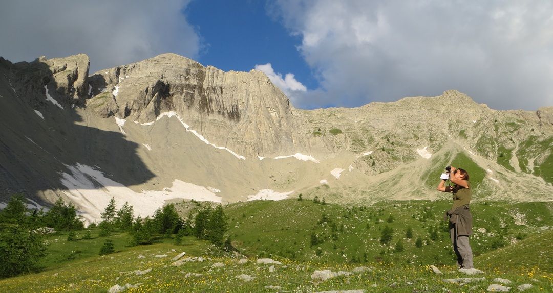 Enquêtes, ABC, camps : rejoignez la dynamique naturaliste !