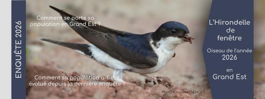 Participer à l'enquête !