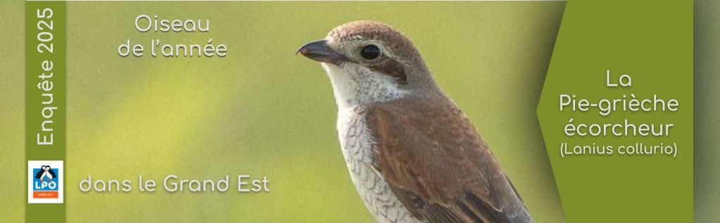 Consulter la page dédiée à l'enquête         