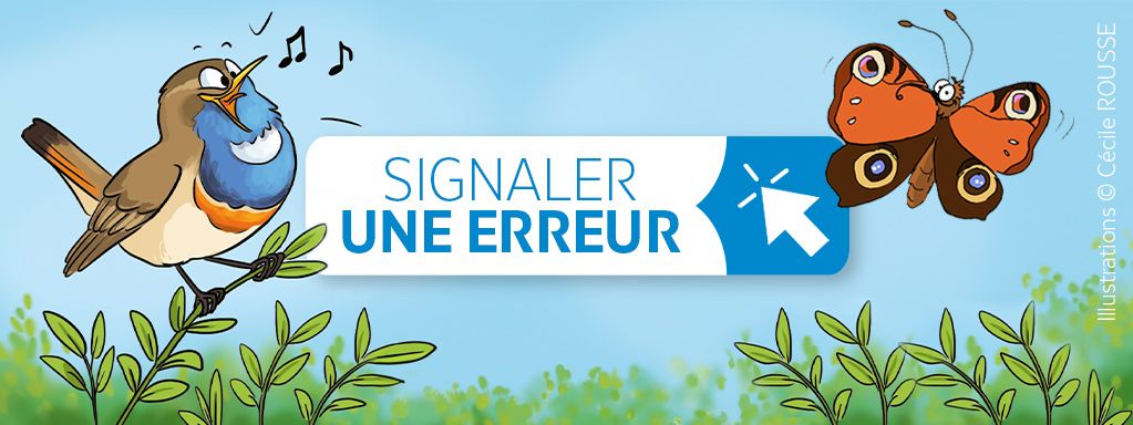 Vous observez une erreur de saisie ? Vous pouvez désormais le signaler !