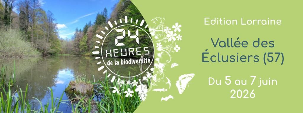 Venez explorer la vallée !