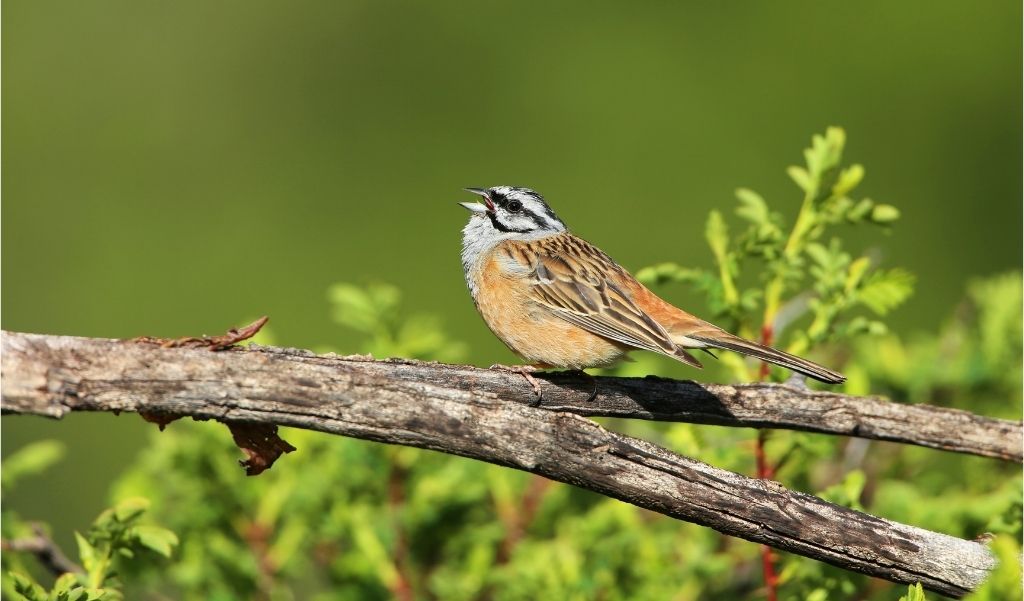 À chaque enquête sa fiche