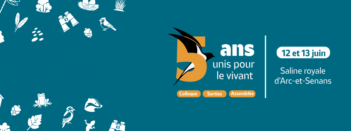 ↓ Informations et inscription ↓