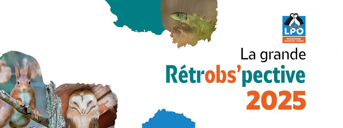  ↓ Téléchargez la ci-dessous ↓