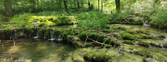 Inventoriez les znieff de Champagne-Ardenne