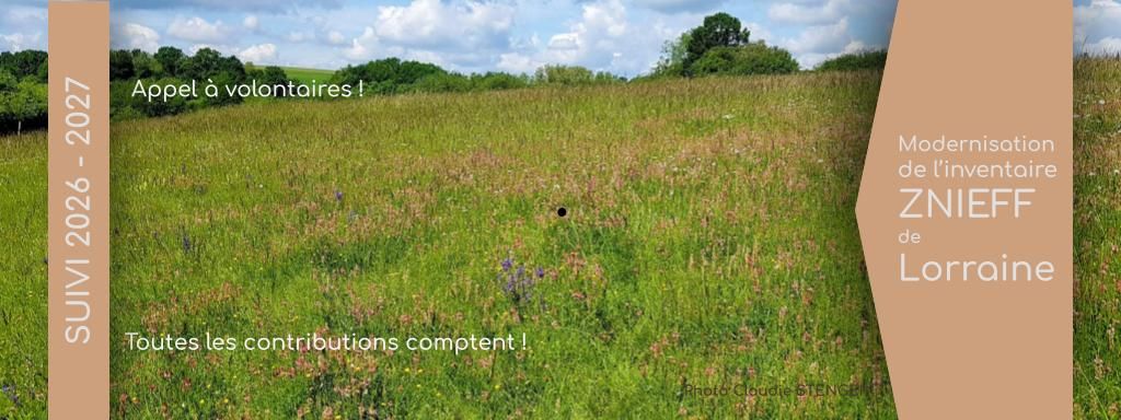 Comment participer ?