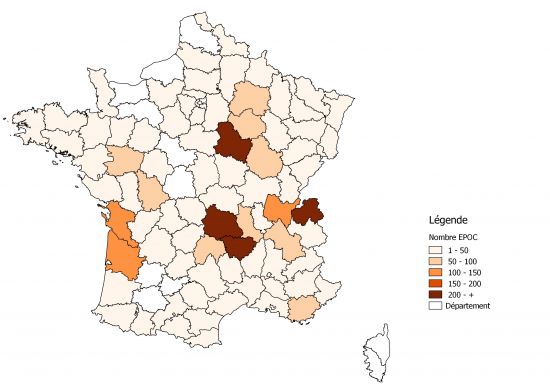 Oiseaux La Migration Du Guepier D Europe