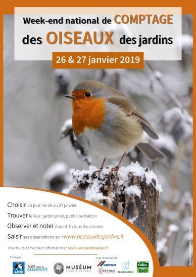 Toutes Les Nouvelles Wwwfaune Loireorg - 