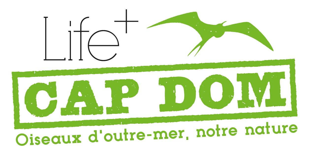 logo Life+ Cap Dom