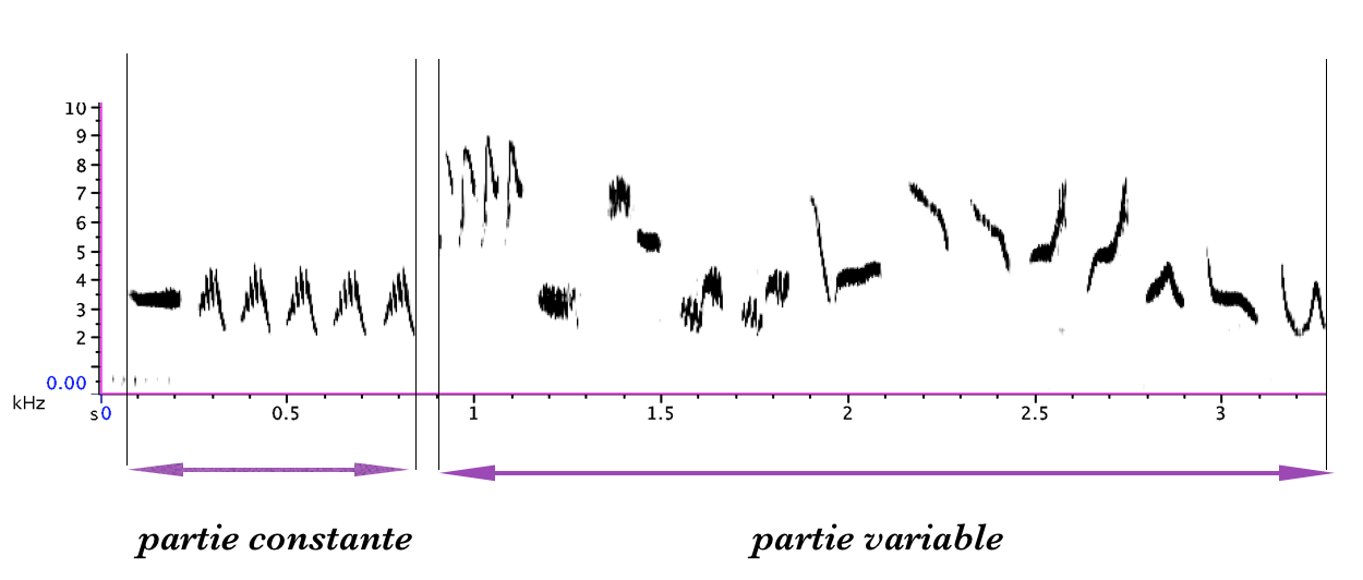 https://cdnfiles2.biolovision.net/www.gobg.ch/userfiles/RQFB/Structureduchant.png