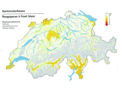 Carte de répartition du rougequeue à front blanc en Suisse