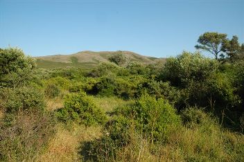 Cap Corse, Barcaggio - C. Jolin
