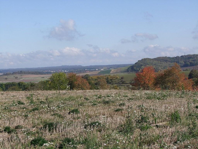 Charmes-sur-Moselle