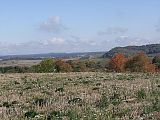 Charmes-sur-Moselle - 