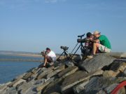 Ouistreham - 