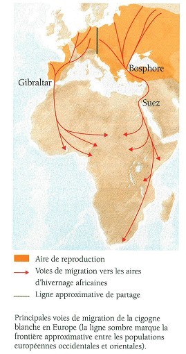 Diversite Des Migrations Www Migraction Net