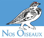 www.nosoiseaux.ch