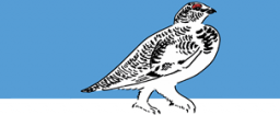 www.nosoiseaux.ch