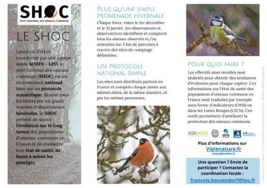 Toutes Les News Www Oiseaux Cote Dor Org