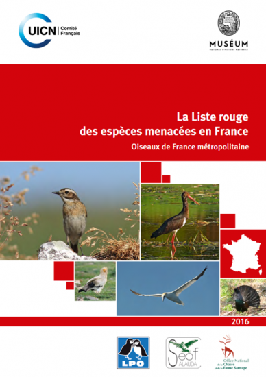 Toutes Les Nouvelles Wwwoiseauxdesjardinsfr