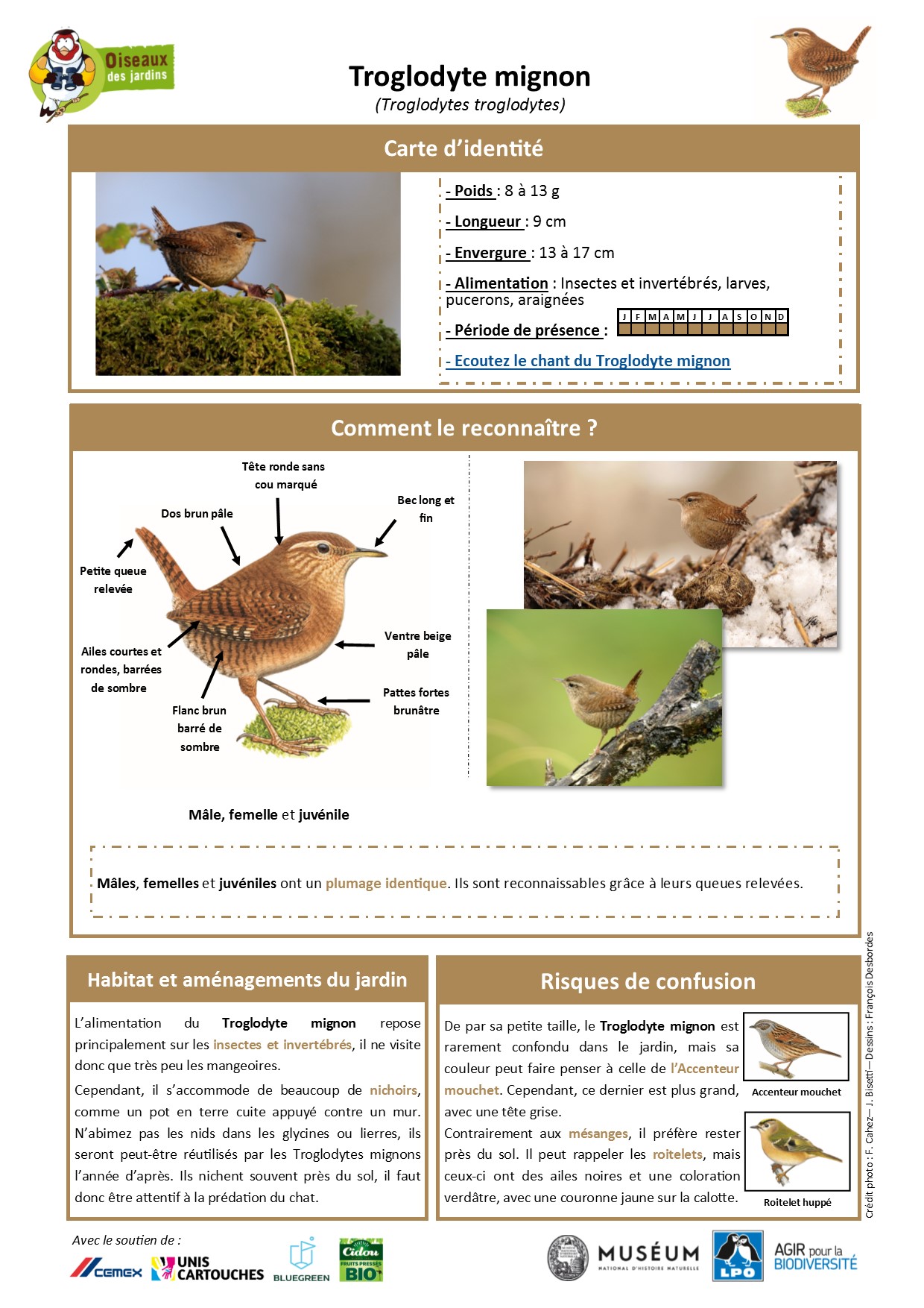 https://cdnfiles2.biolovision.net/www.oiseauxdesjardins.fr/userfiles/Fichesespces/FicheespceTM.pdf