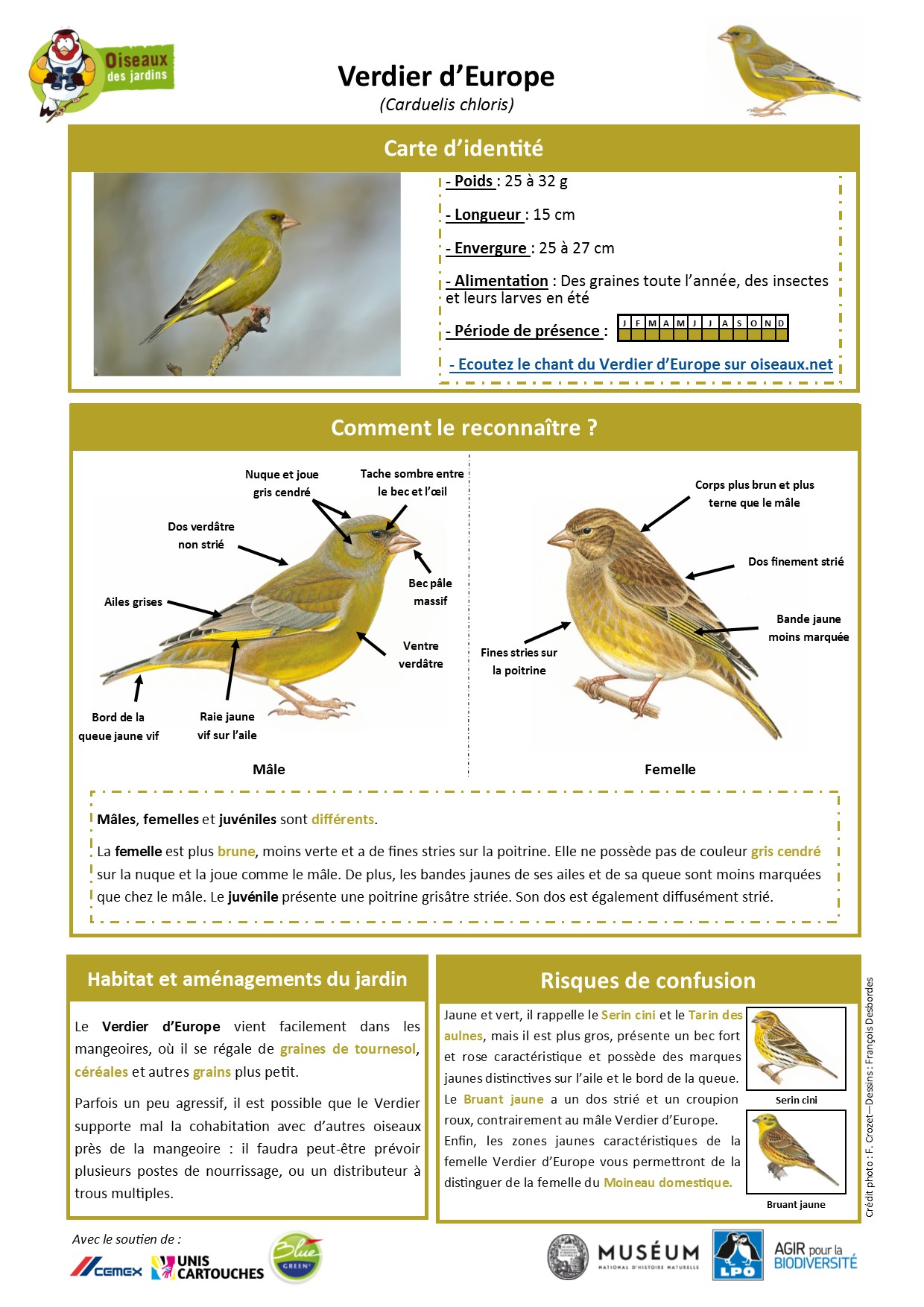 https://cdnfiles2.biolovision.net/www.oiseauxdesjardins.fr/userfiles/Fichesespces/FicheespceVE.pdf